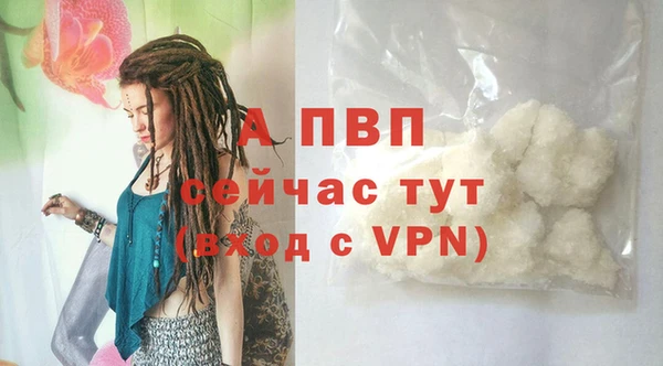 стафф Арсеньев